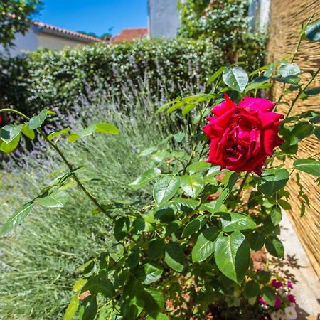 Apartment Rosse Porec Bagian luar foto