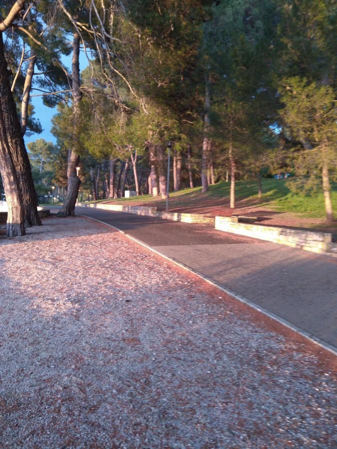 Apartment Rosse Porec Bagian luar foto